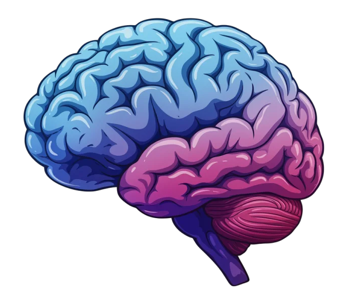 Brain Icon